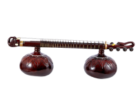 Rudra Veena